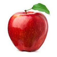 Appletree ❤️ Memecoin (@__apple_tree__) Twitter profile photo