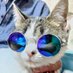 うさねこ (@rabbicat_neko) Twitter profile photo うさねこ (@rabbicat_neko) Twitter profile photo