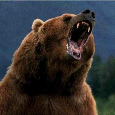 angry bear (@angrybear) | Twitter