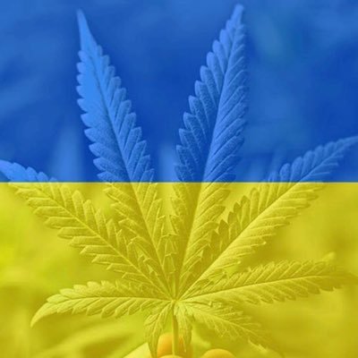 Я з Києва і смокаю шишечки, але я не фейк як жирний кієвстонер