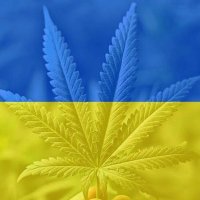 Накурений Твіттер 🇺🇦(@NakurennuyTw) 's Twitter Profile Photo