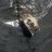 Jimmy_Rosamond's profile image