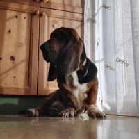 💜 (@agb198) 's Twitter Profile Photo