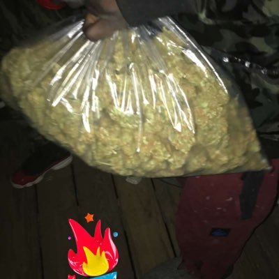 Zotz_Bayron504's profile picture. 