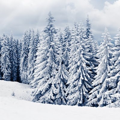 MirunaMalaia's profile picture. 