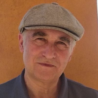 Juan Ramón Azuar Romero Profile