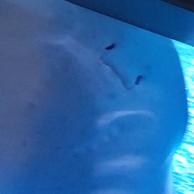 fuudaigaku's profile picture. 🚺thu観光経営、合唱部、学友会