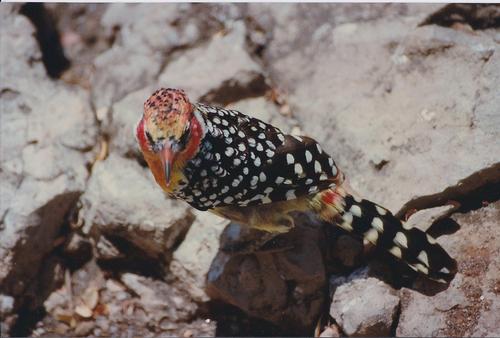 therapyskeptic1's profile picture. Sociologist studying things sociologists study