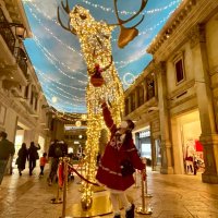 ゆり💫 (@yurino_hanawa) Twitter profile photo