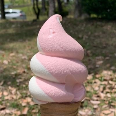 2402dx's profile picture. まいどおおきに。あなたが好きです。