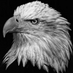 South Eagles (@djokic7djokic) Twitter profile photo South Eagles (@djokic7djokic) Twitter profile photo