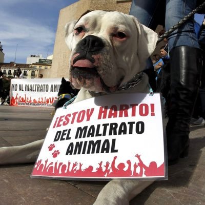 En contra del maltrato animal!!🐾 Recuerda,ellos sienten,piensan y saben dar amor🥰