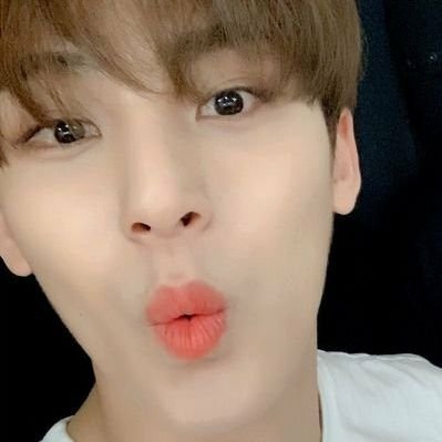 kidultgyu's profile picture. seventeen fan account.