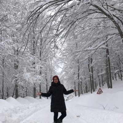 merverkanaydin's profile picture. Shanghai University-PhD Candidate