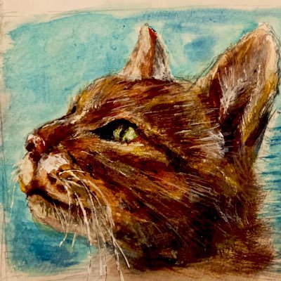 Relatarefer0's profile picture. 