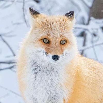 FelipeL90786744's profile picture. De seguro q no soy del todo yo, quien esta detras de mi pantalla..