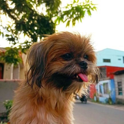 gpranciii's profile picture. Reactivated account.