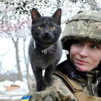 Привид “Ghost” Слава Україні 🇺🇦🇺🇦 🌻 🌻🤍🥷🏼✙ (@_hawkeyed) 's Twitter Profile Photo