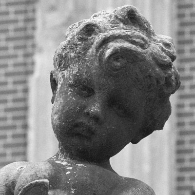 fcz_tw's profile picture. 