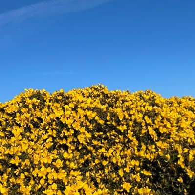 cddedwards's profile picture. 