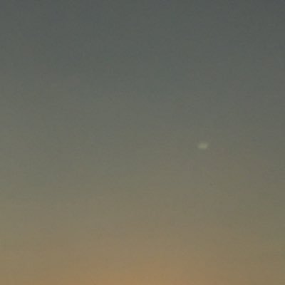 torres_gabib's profile picture. 