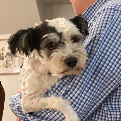 ceibafajardo's profile picture. Linen/viscose or Silk.