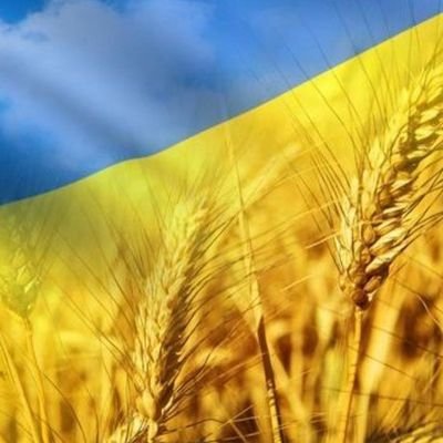 maxshelud's profile picture. 