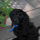 Cameron Perger - @CameronPerger - Twitter