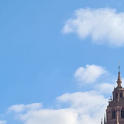 AugedesSturms's profile picture. 