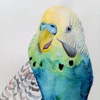 miranda pennington (@mirapennington) 's Twitter Profile