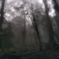 Tuba (@yubatub) Twitter profile photo