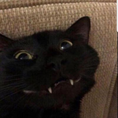 chirstmas2512's profile picture. 