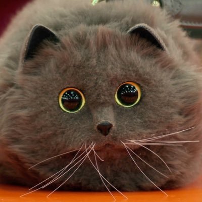 Ells_Bells247's profile picture. 🩷💜💙