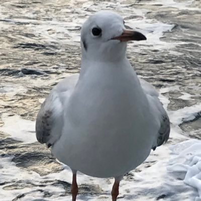haiji25's profile picture. 
