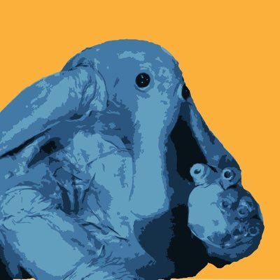 Ortolan Thoughts 🐀さんのプロフィール画像