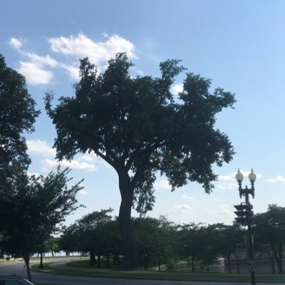 apl1919's profile picture. 