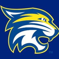 DCA Lady Cats Varsity Softball (@dca__softball) 's Twitter Profile