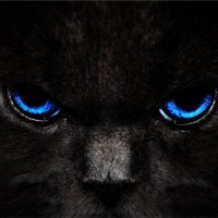 Lou (@crypto__lou) 's Twitter Profile