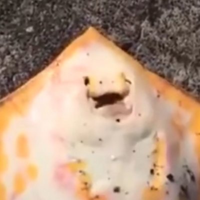 毛线刺身さんのプロフィール画像