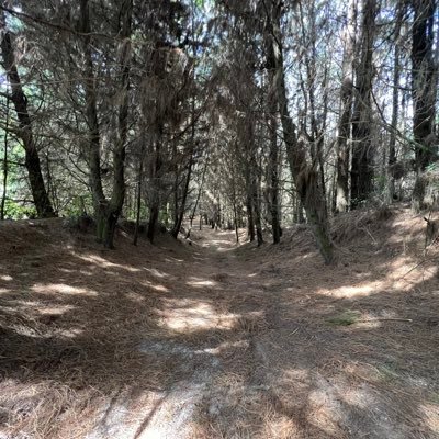 Nací, no crecí mucho, me reproduje y estoy viviendo mientras llega la otra fase.