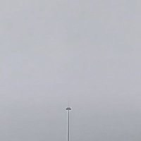 Pedro (@pedro25013) 's Twitter Profile