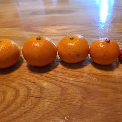 JOJOFRIEND4's profile picture. jojo_friend❤