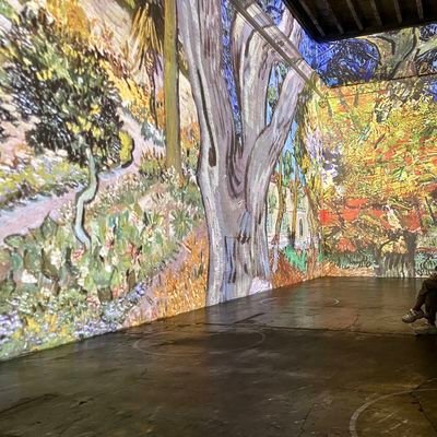 arminkha's profile picture. Momento Mori
#LFC