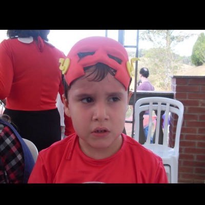 O_TAL_DO_JERRA's profile picture. 