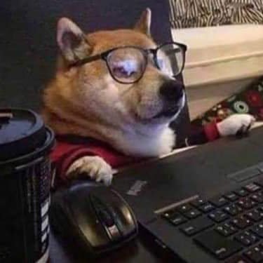 Daraak_RC's profile picture. Lvl 23