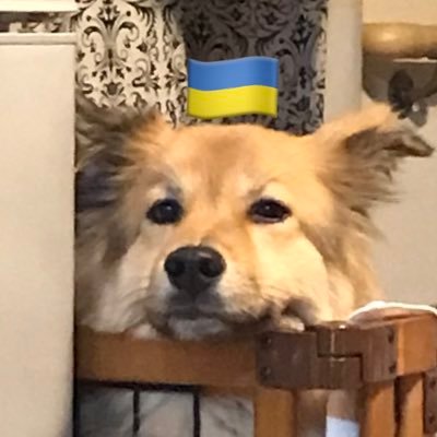 木風／インプレや詐欺目的のフォローやリプは即通報＋ブロックさんのプロフィール画像
