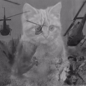 usermuser's profile picture. 