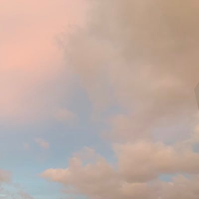 inzxdd's profile picture. 