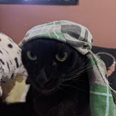 08002019a's profile picture. sei lá