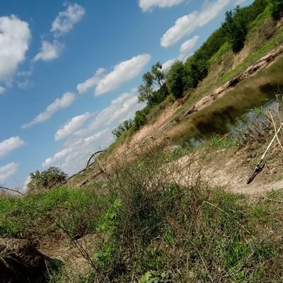 DABenitez2002's profile picture. No sé que poner.
maestro mayor de obras